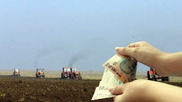 Fermierii români vor depune o singură cerere de plată pentru obţinerea subvenţiilor